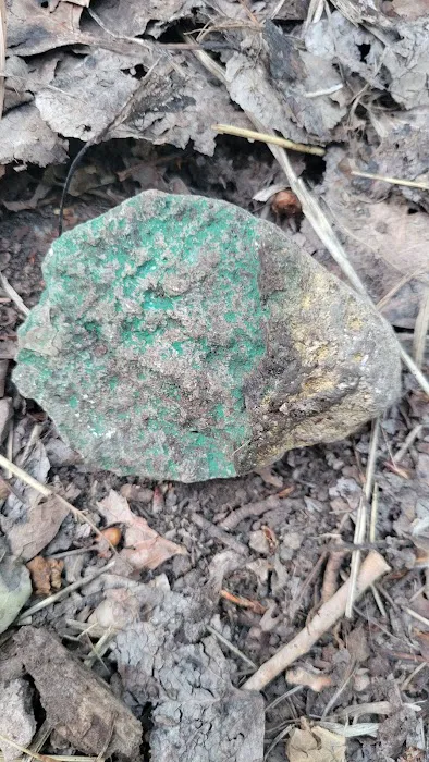 Camp Bertha Stone Reeder Picture 7