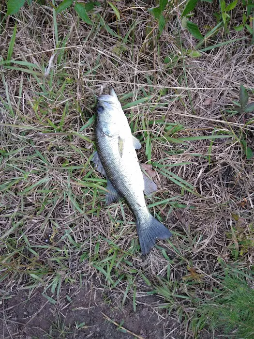 Lakeside Mobile Home Park Picture 2