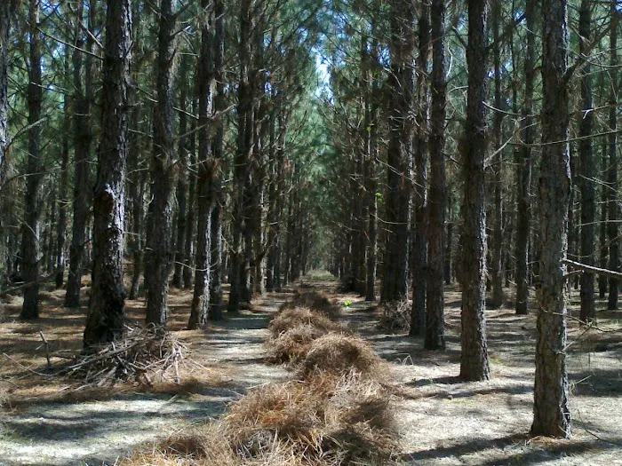 Lakeside Mobile Home Park Picture 1