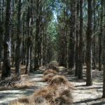 Lakeside Mobile Home Park