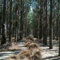 Lakeside Mobile Home Park ico