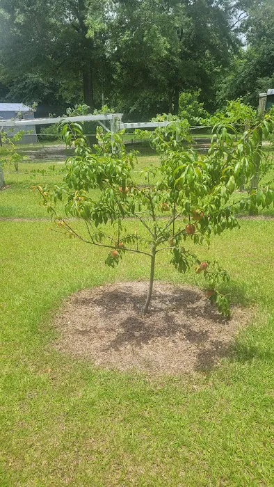 JP FARMS PRIVATE RV PARK Picture 7