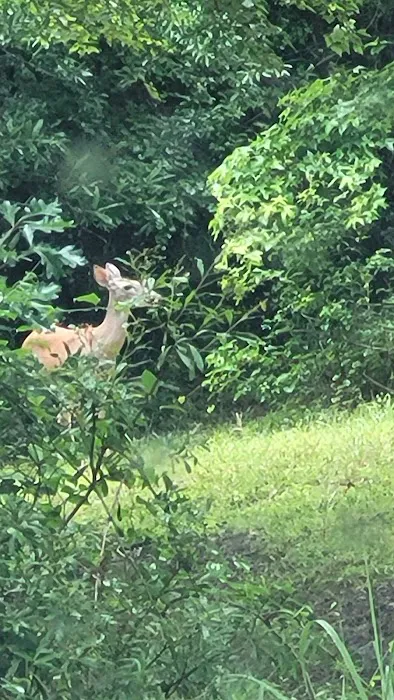 JP FARMS PRIVATE RV PARK Picture 4