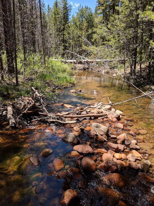 Soapstone Campground Picture 7