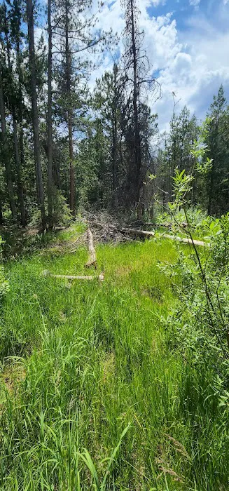 Soapstone Campground Picture 9