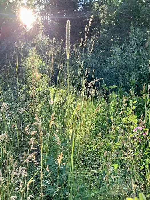 Soapstone Campground Picture 5