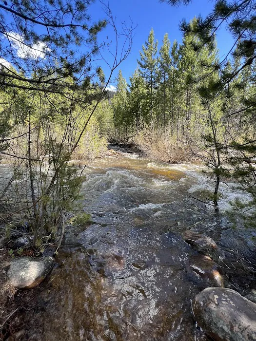 Shady Dell Campground Picture 8