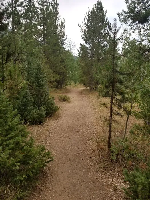 Shady Dell Campground Picture 9