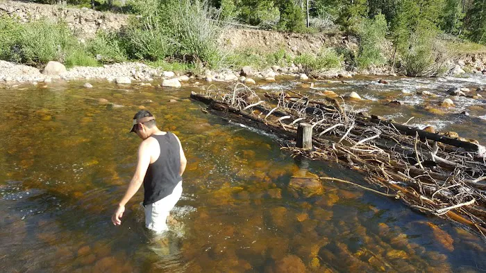 Shady Dell Campground Picture 4