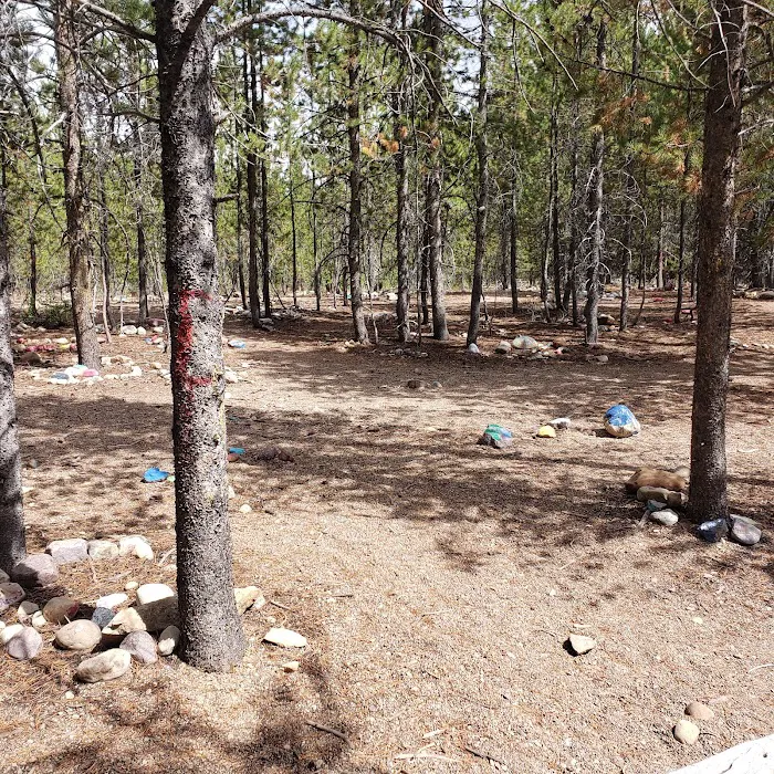 Shady Dell Campground Picture 6