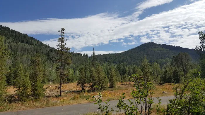 Shady Dell Campground Picture 3