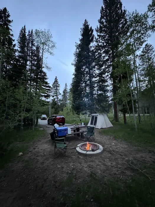 Shady Dell Campground Picture 1