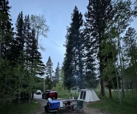 Shady Dell Campground