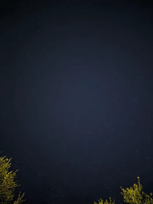 Parkwood Rv Park & Cottages Picture 2