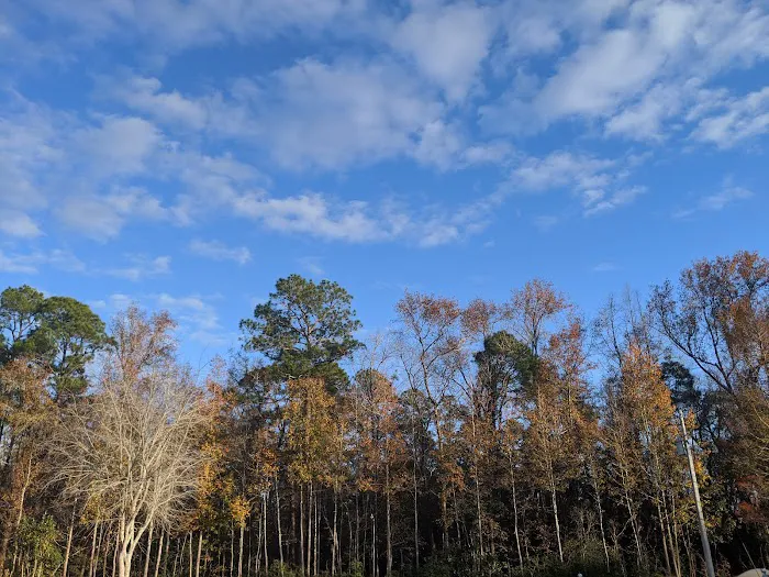 Parkwood Rv Park & Cottages Picture 5