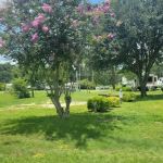 Parkwood Rv Park & Cottages