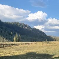 Soap Stone Camping ico