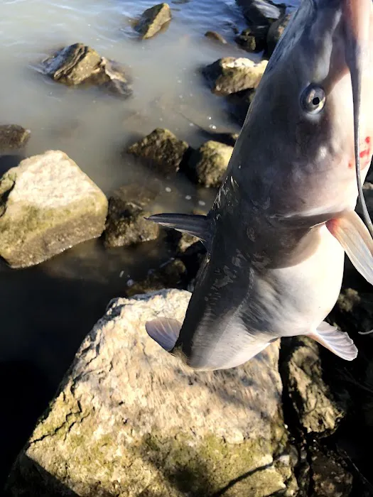 Lincoln Beach Campground Picture 1