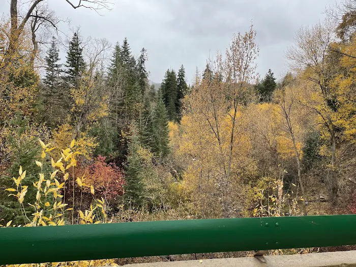 Camp Maple Dell, BSA Picture 5