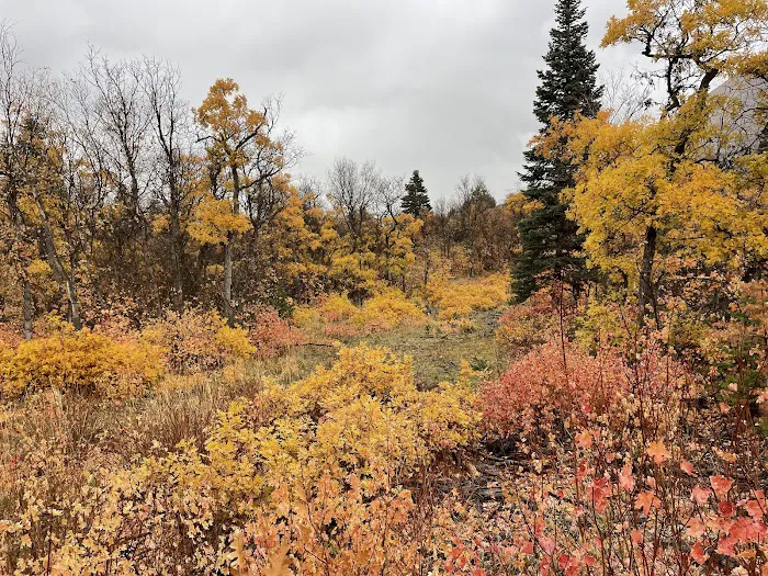 Camp Maple Dell, BSA Picture 8