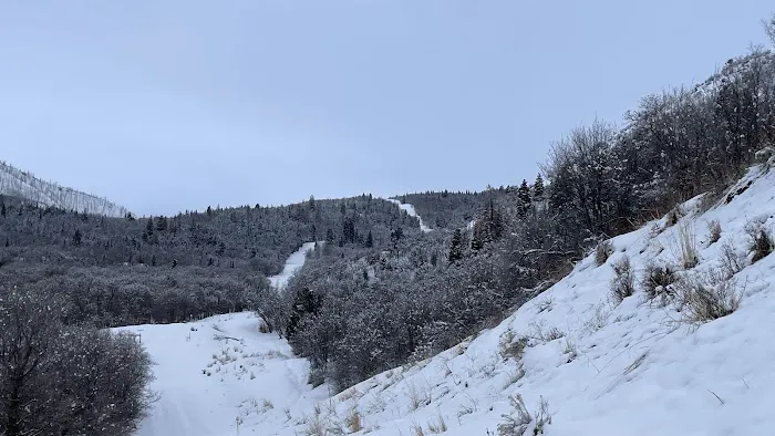 Camp Maple Dell, BSA Picture 3