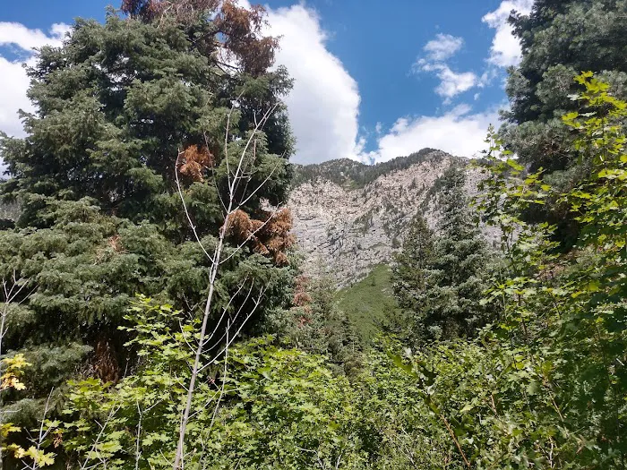 Hope Campground Picture 7