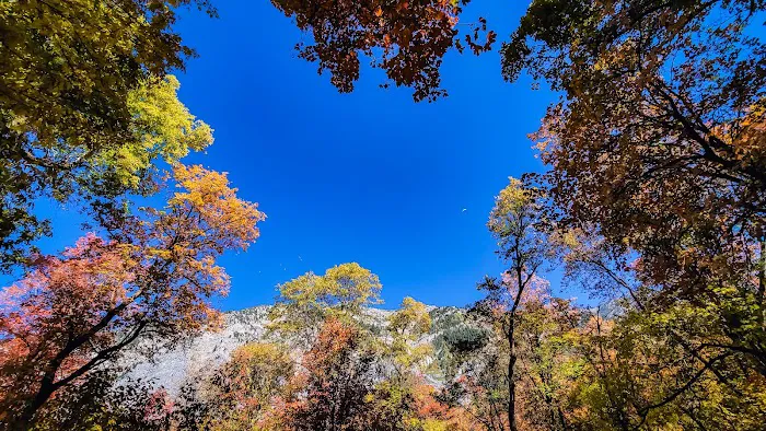 Hope Campground Picture 8