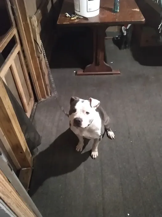 Johnson Mobile Home Court Picture 1