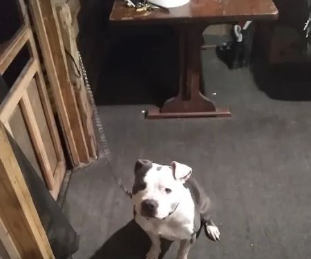 Johnson Mobile Home Court