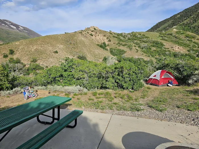 Spanish Oaks Campground Picture 4