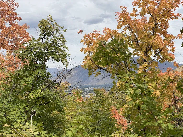 Spanish Oaks Campground Picture 10