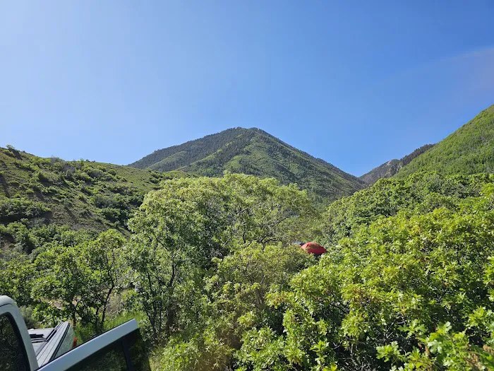 Spanish Oaks Campground Picture 9