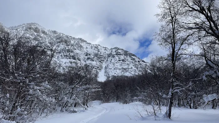 Rock Canyon Campground Picture 4