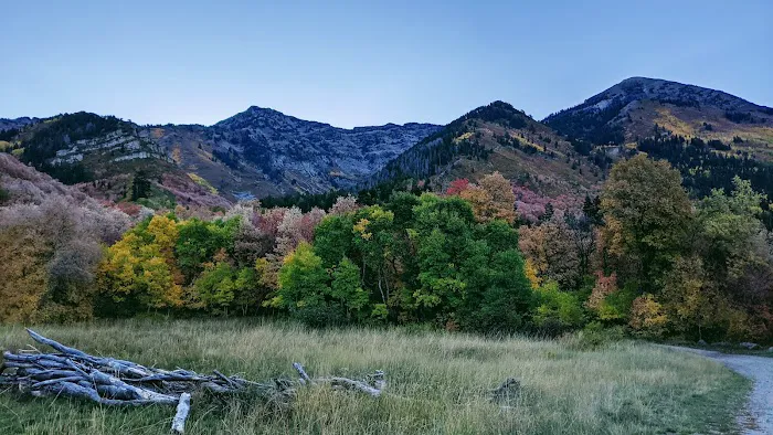 Rock Canyon Campground Picture 3