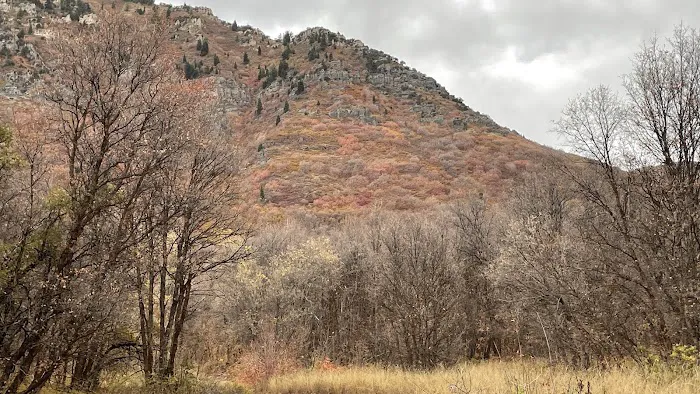 Rock Canyon Campground Picture 1