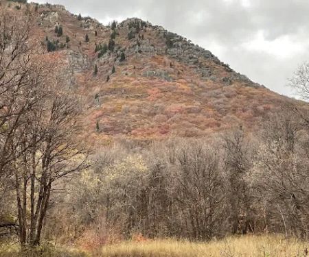 Rock Canyon Campground