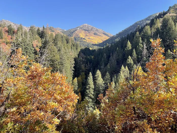 Rock Canyon Campground Picture 8