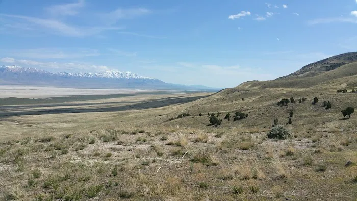 Delle Campsite Picture 4