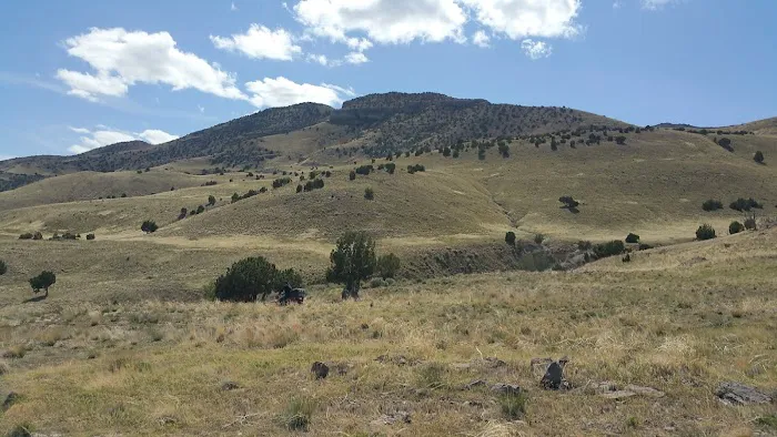 Delle Campsite Picture 2