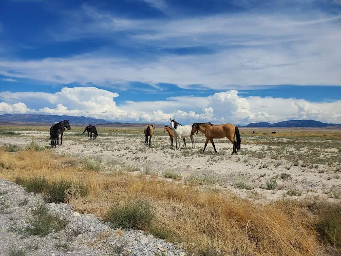 Simpson Springs Campground Picture 9