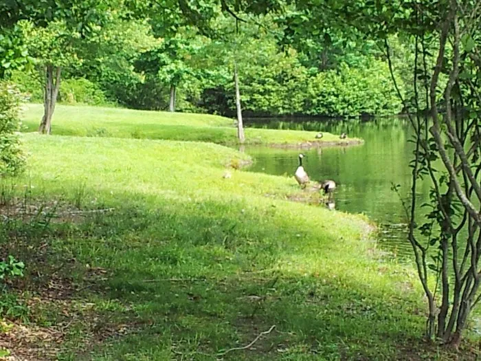 Pine Lakes RV Park Picture 9