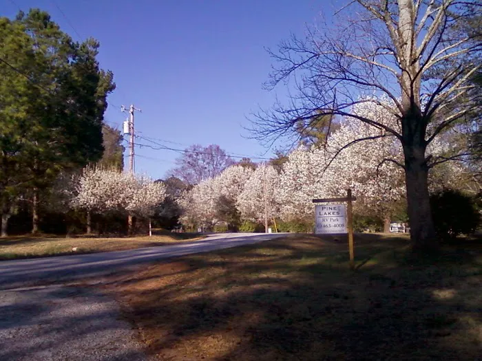 Pine Lakes RV Park Picture 4