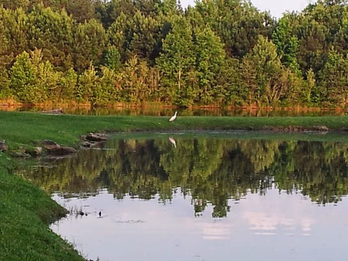 Pine Lakes RV Park Picture 8