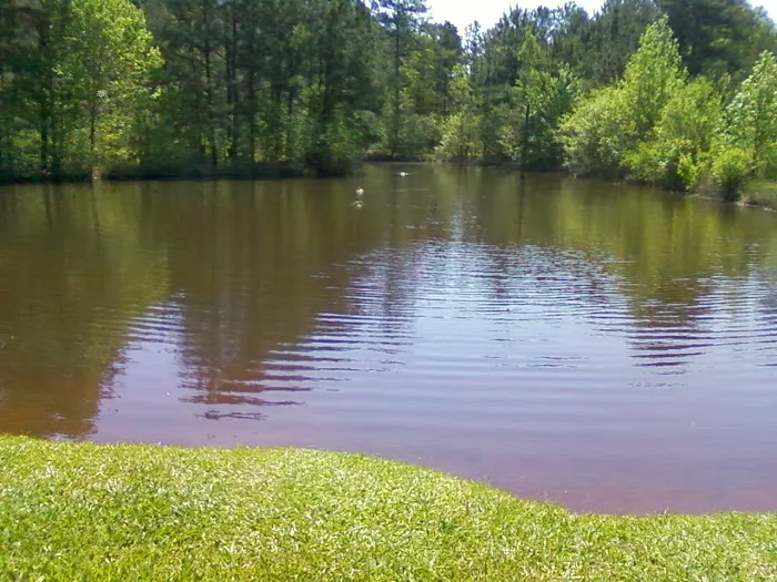 Pine Lakes RV Park Picture 6