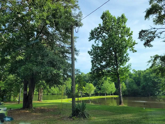 Pine Lakes RV Park Picture 7