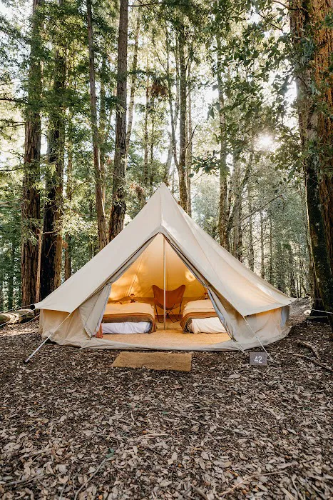 Lodgepole Campground Picture 6