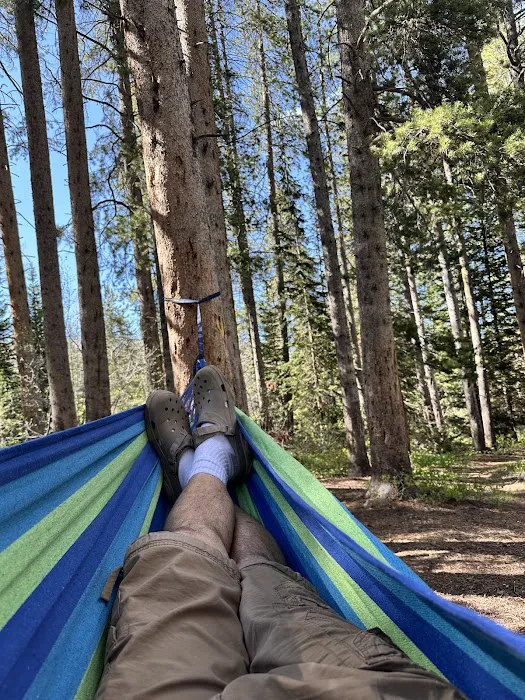 Lodgepole Campground Picture 10