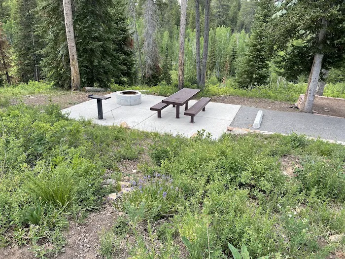 Lodgepole Campground Picture 9