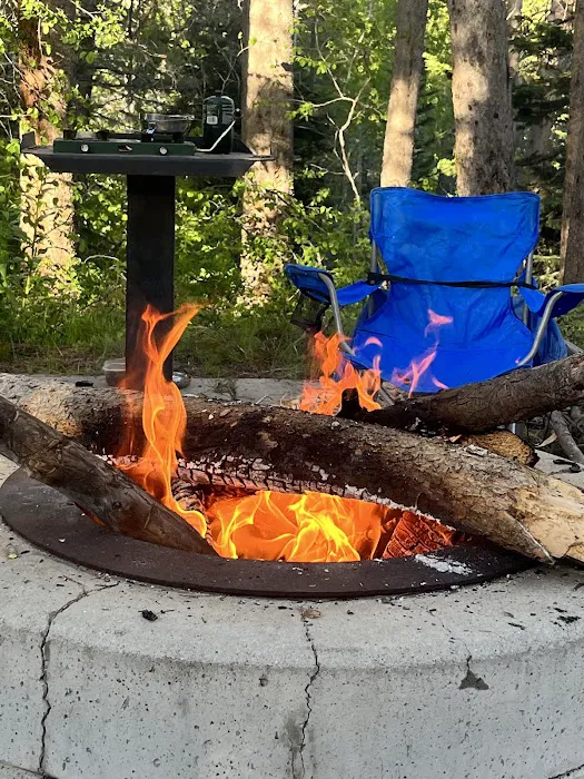 Lodgepole Campground Picture 8