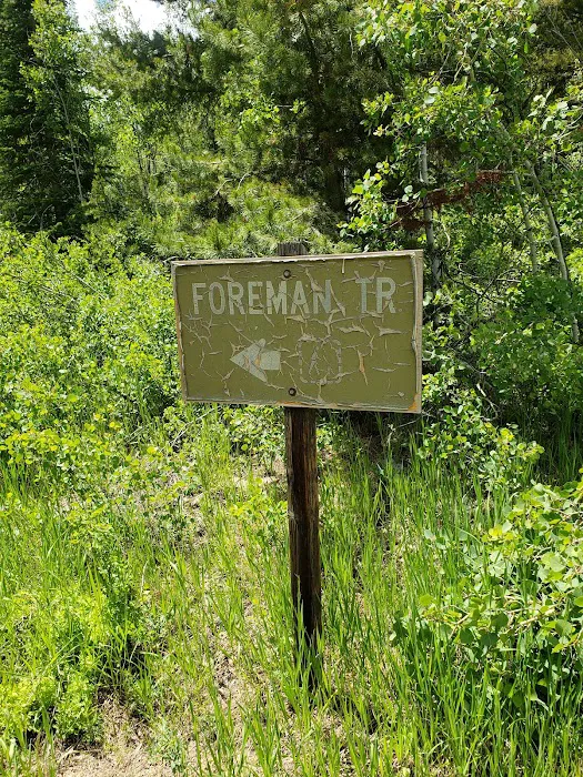 Lodgepole Campground Picture 2